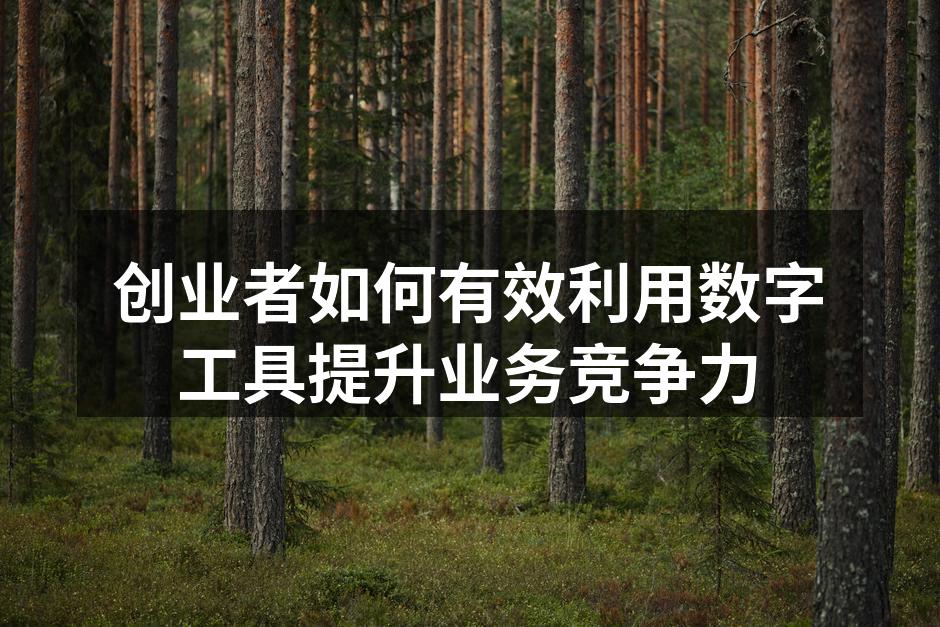 创业者如何有效利用数字工具提升业务竞争力